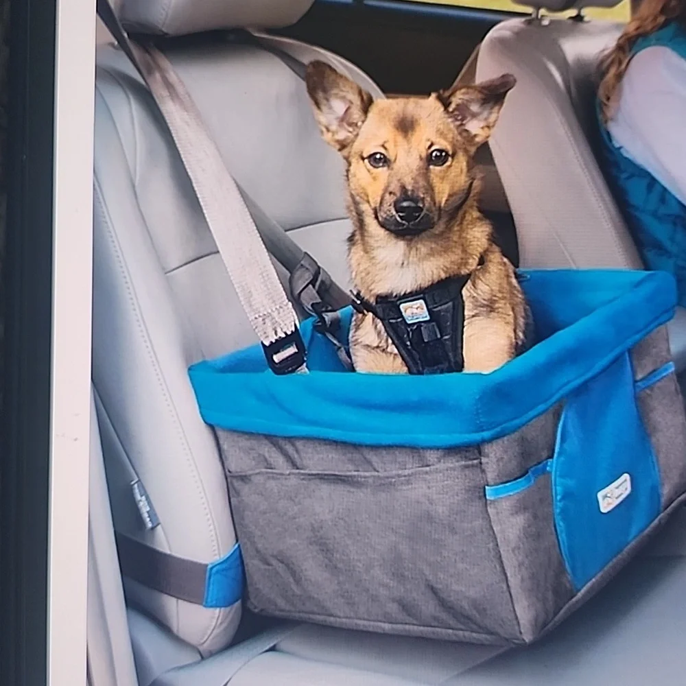 Kurgo Heather Dog Booster Seat